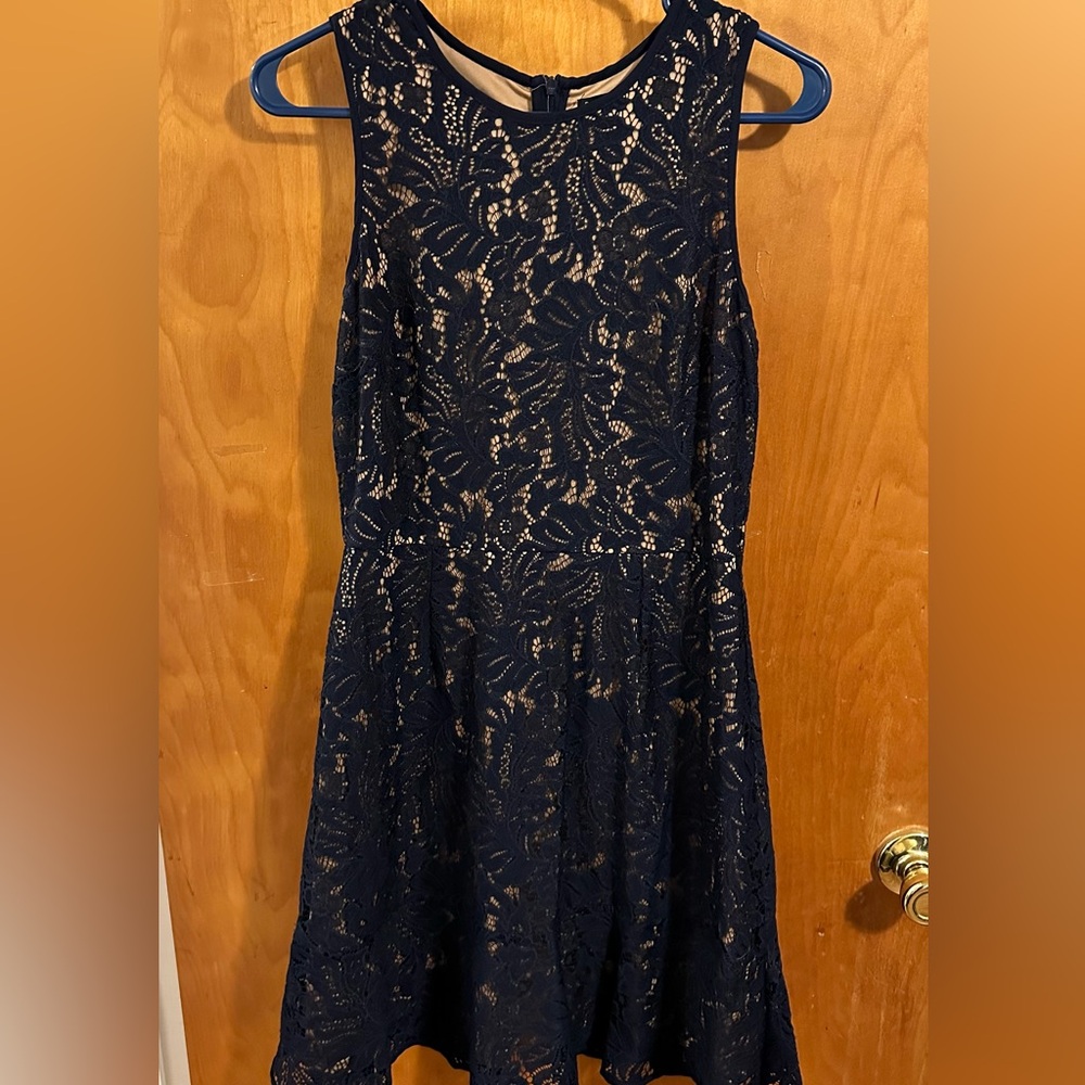 Banana Republic Factory Navy Lace Fit and Flare Dress